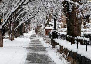 Country Plowing Sidewalk Management