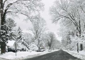 Country Plowing Road Management